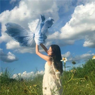 如果风坠落封面